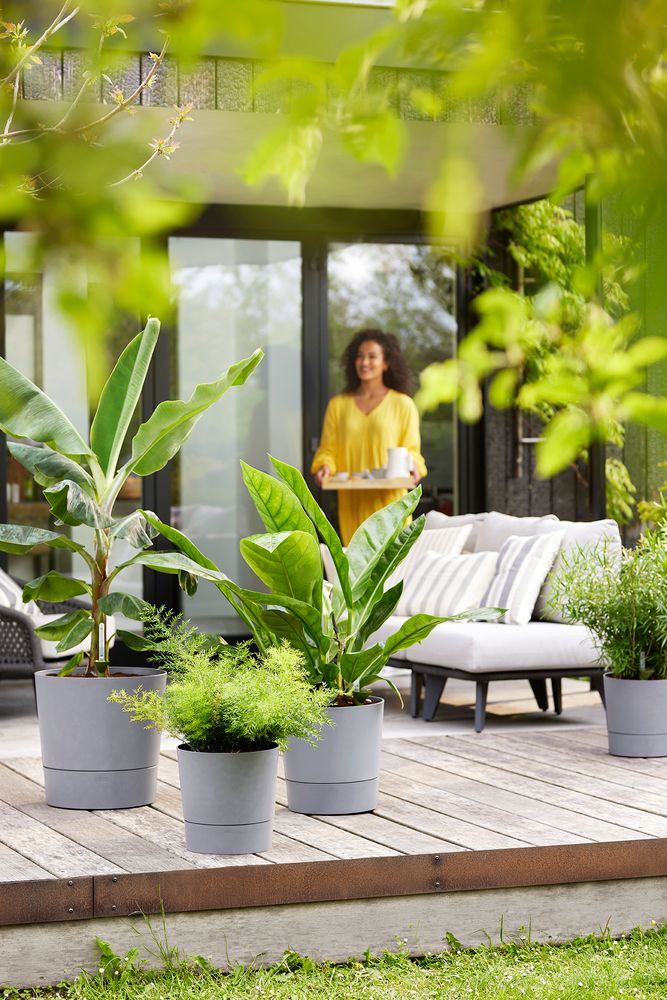 Greensense Aqua Care Round 43