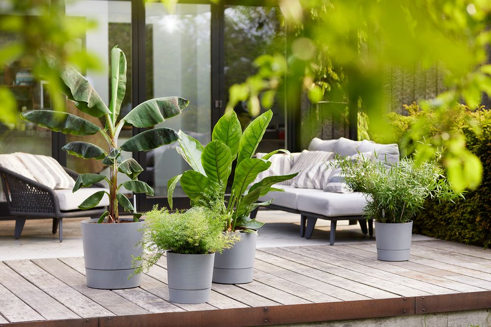 Greensense Aqua Care Round 43