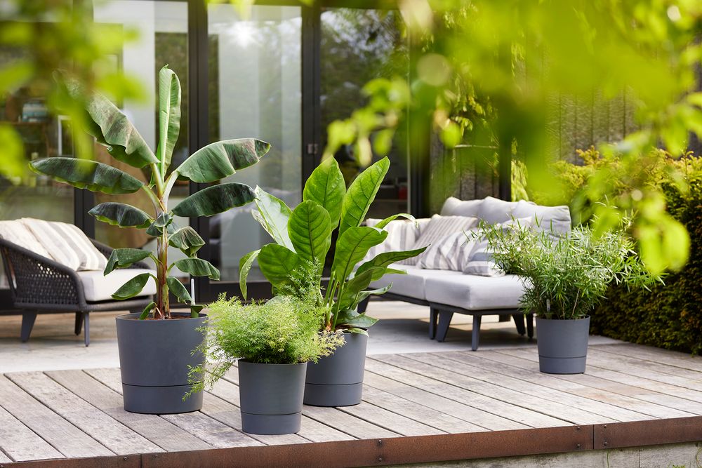 Greensense Aqua Care Round 43