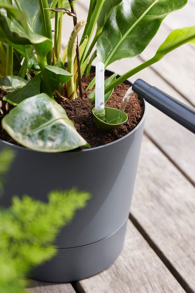 Greensense Aqua Care Round 43