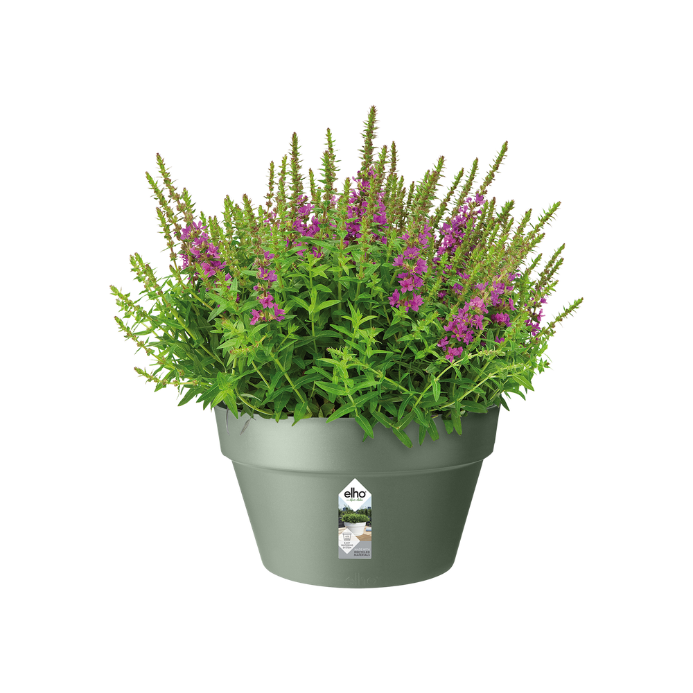 Loft Urban Bowl 35