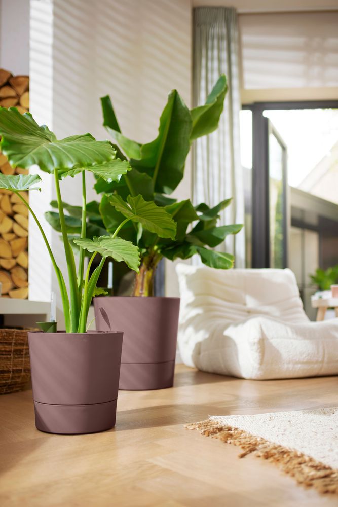 Greensense Aqua Care Round 43