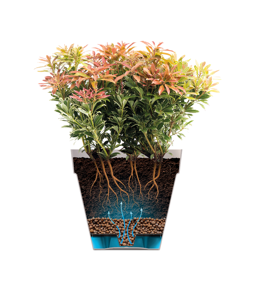 Loft Urban Bowl 35