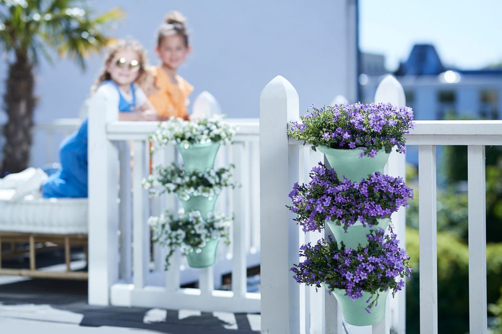 Corsica Vertical Forest 24 Set/3