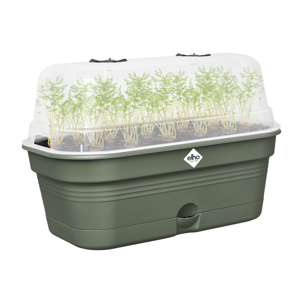 Green Basics Grow Tray Allin1 M