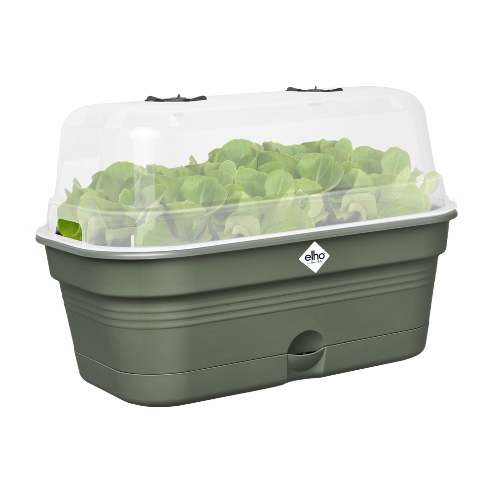 Green Basics Grow Tray Allin1 M