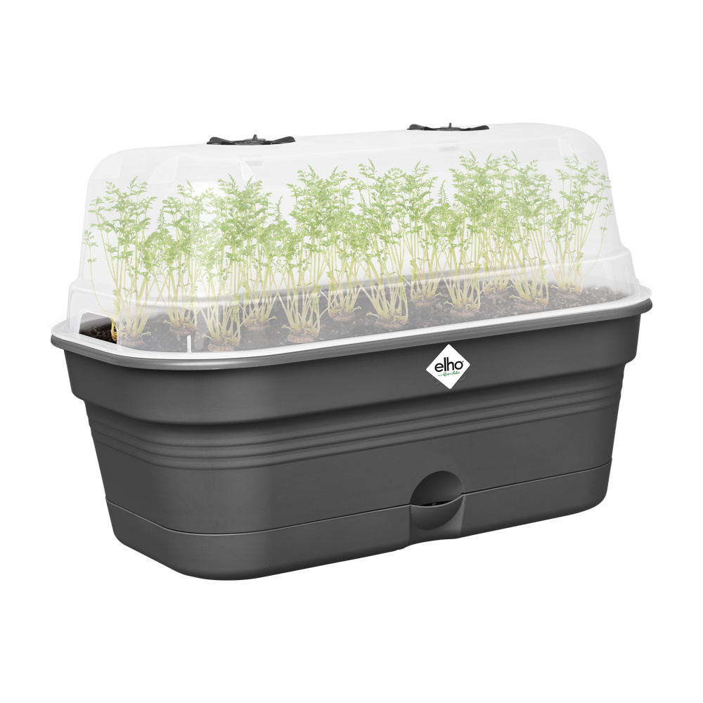 Green Basics Grow Tray Allin1 M