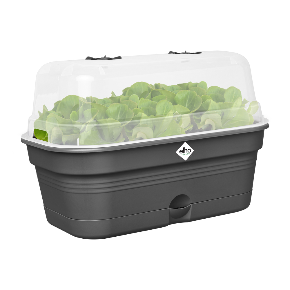 Green Basics Grow Tray Allin1 M