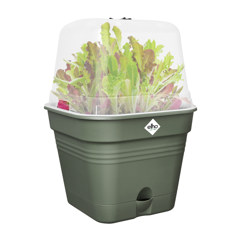 Green Basics Growpot Square Allin1 15