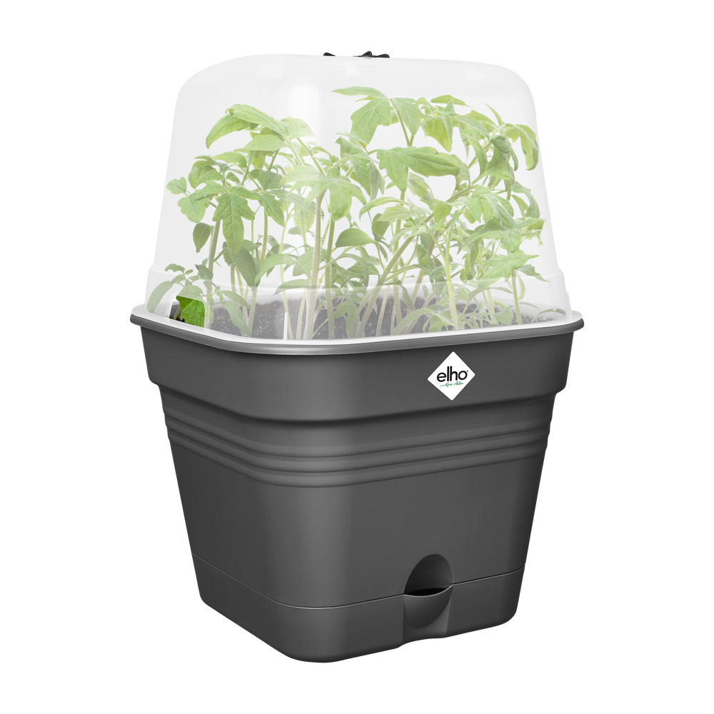 Green Basics Growpot Square Allin1 15