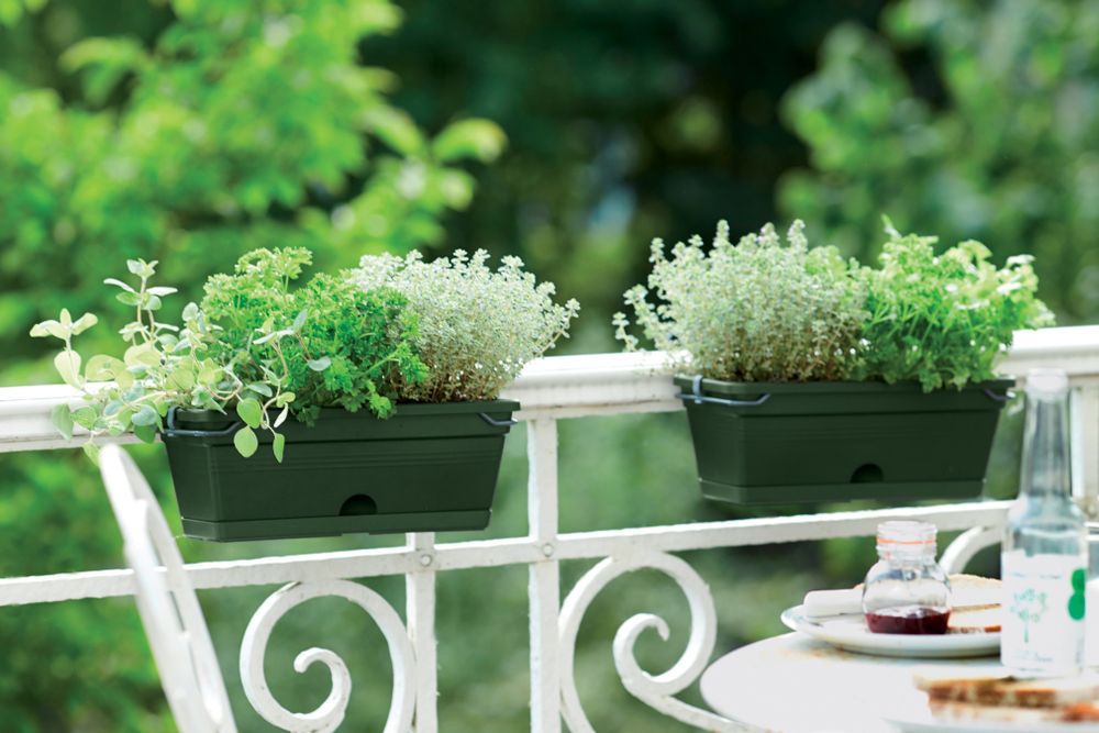 Green Basics Trough Mini Allin1 30