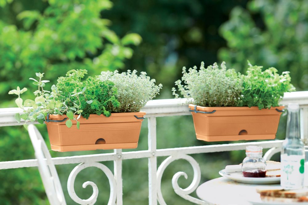 Green Basics Trough Mini Allin1 30