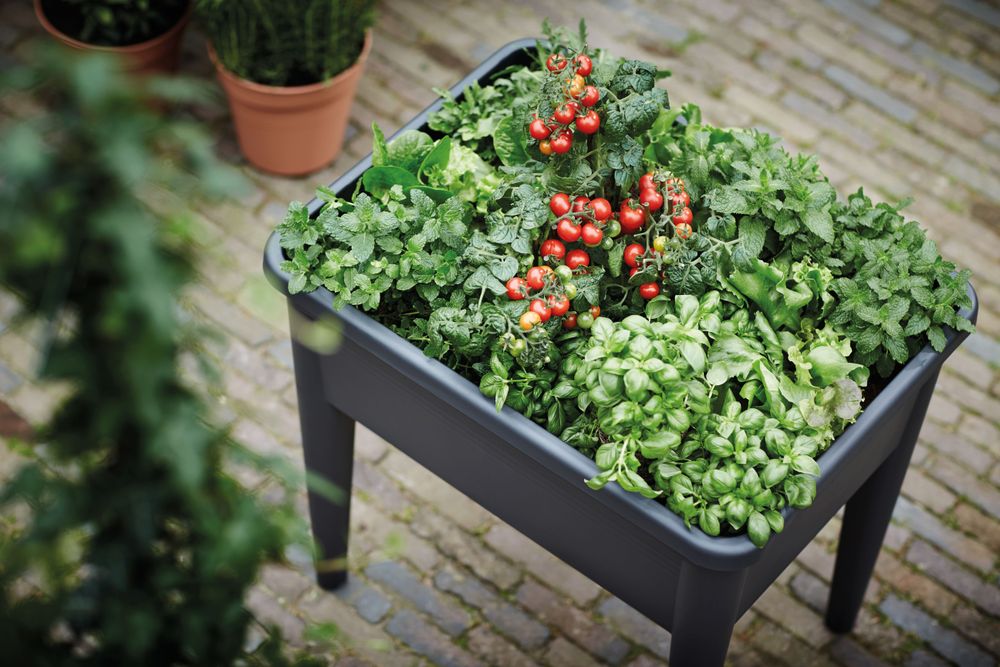 Green Basics Grow Table Super Xxl