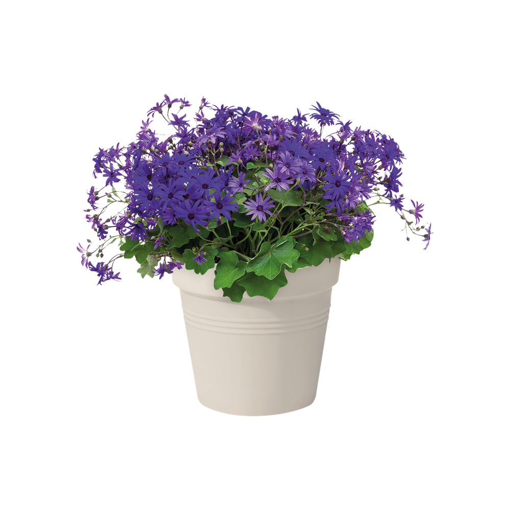 Green Basics Growpot 27