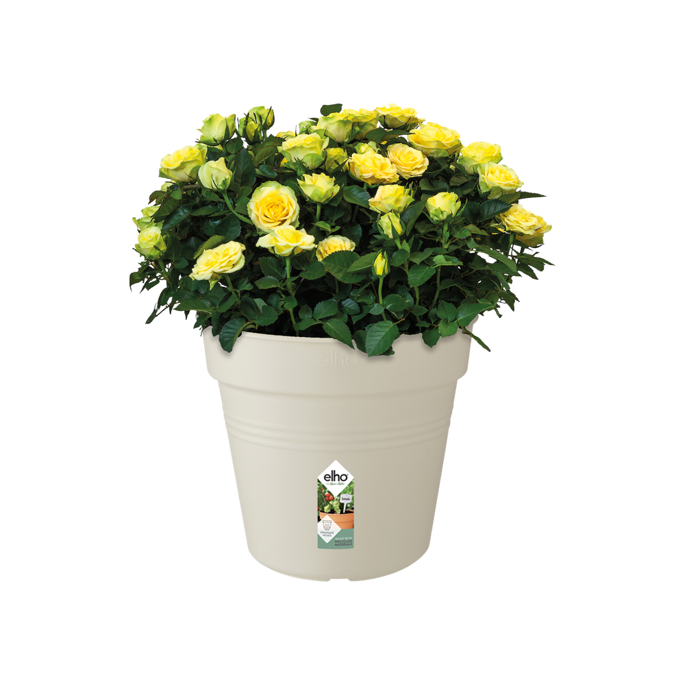 Green Basics Growpot 40