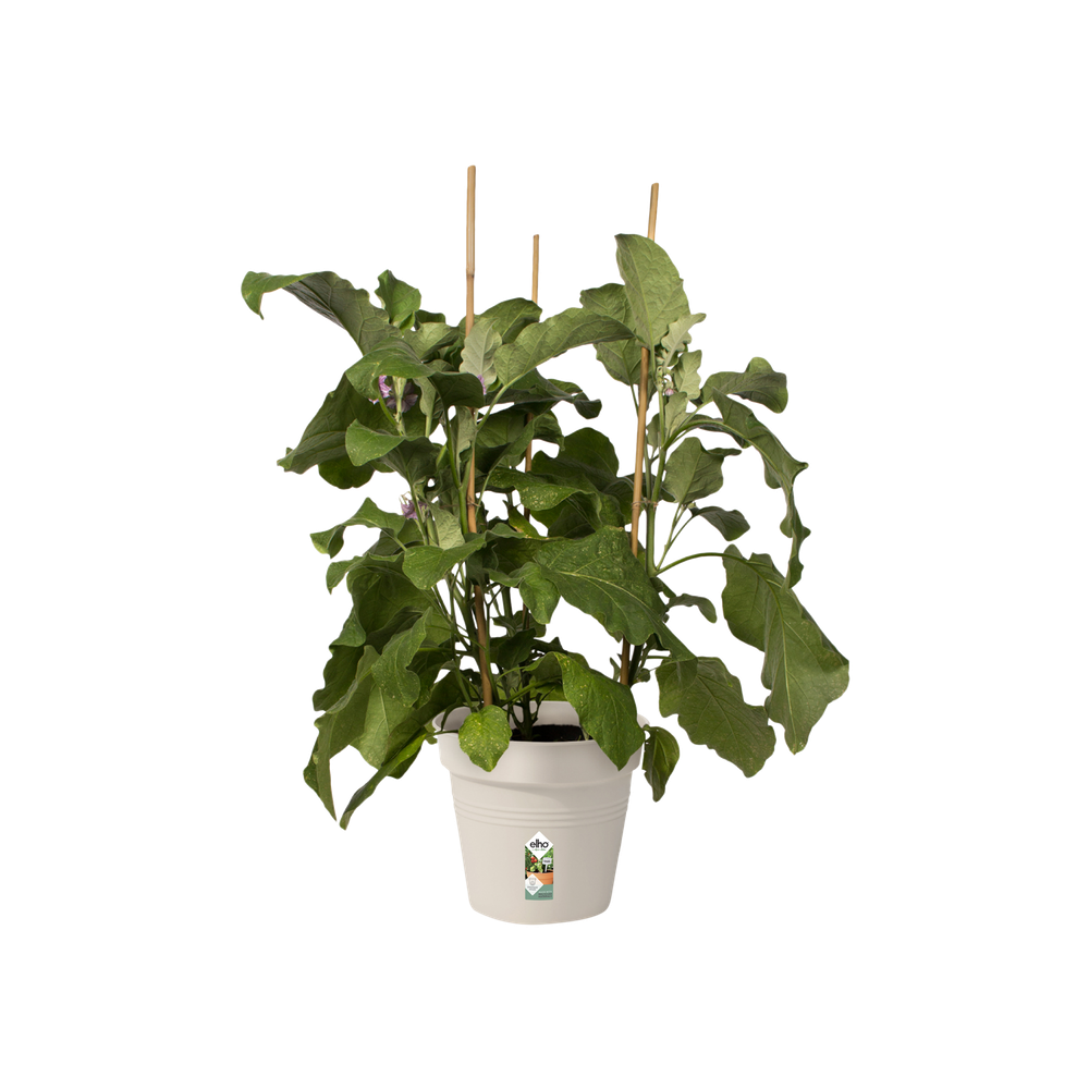 Green Basics Growpot 17