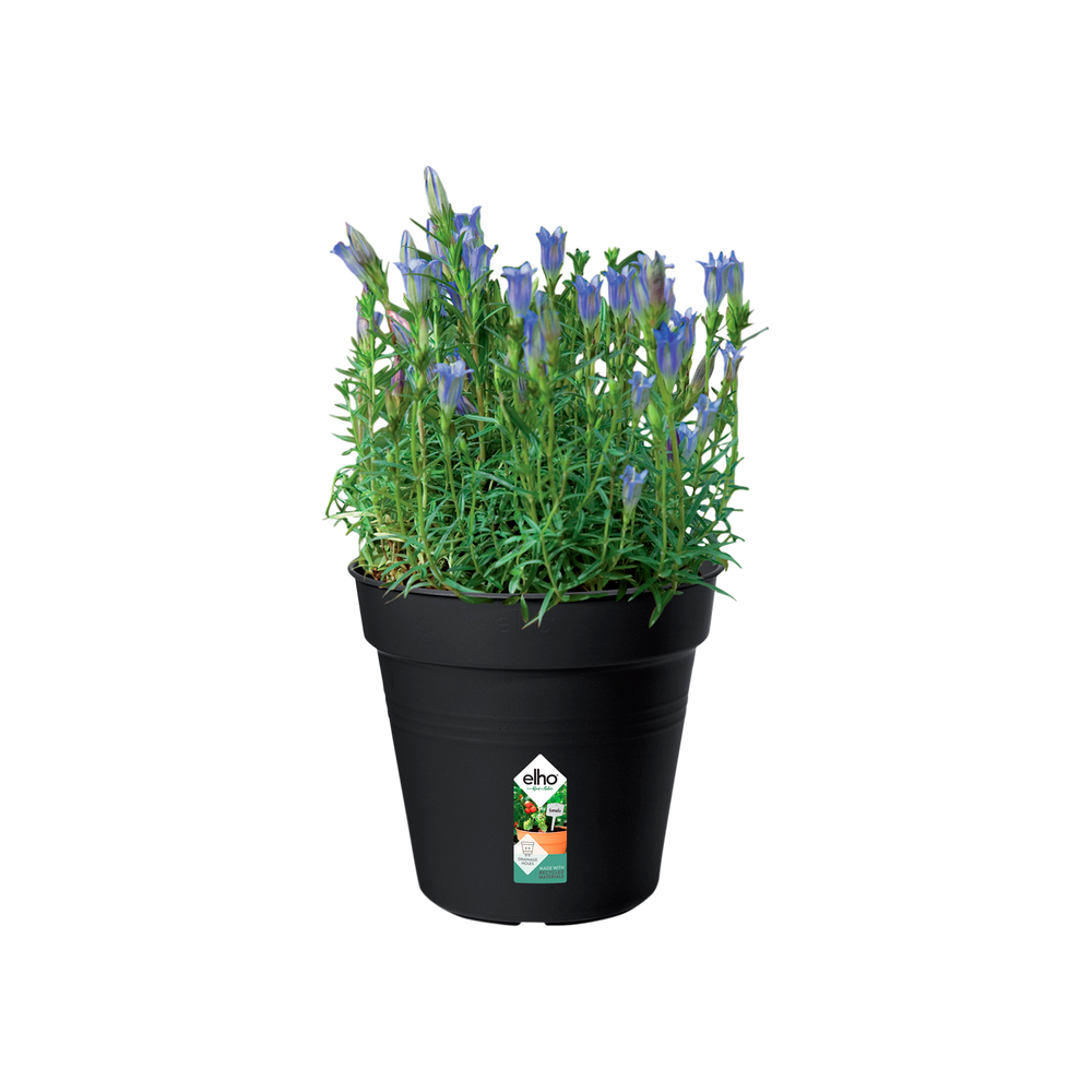 Green Basics Growpot 17