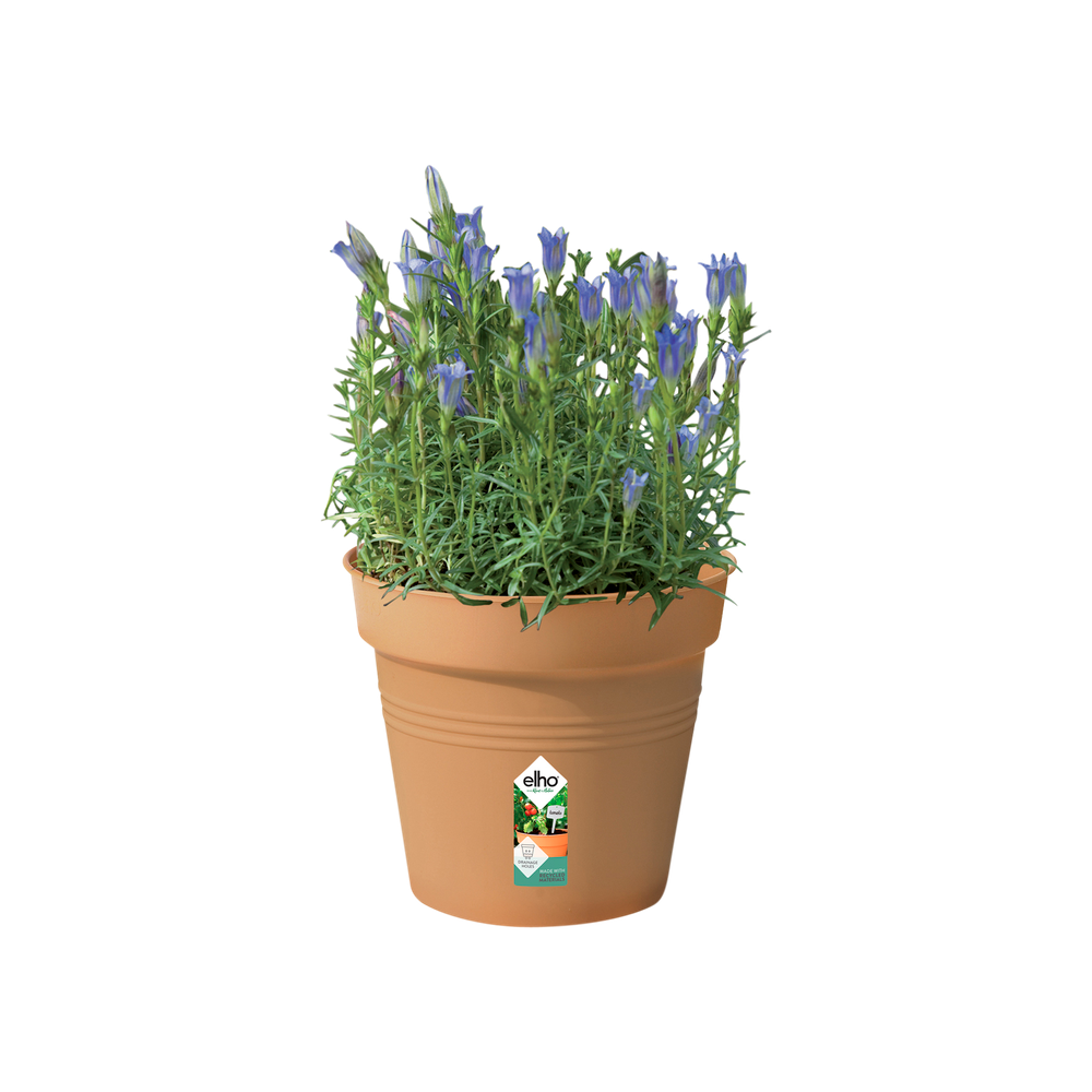 Green Basics Growpot 17