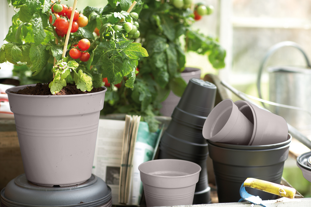 Green Basics Growpot 30