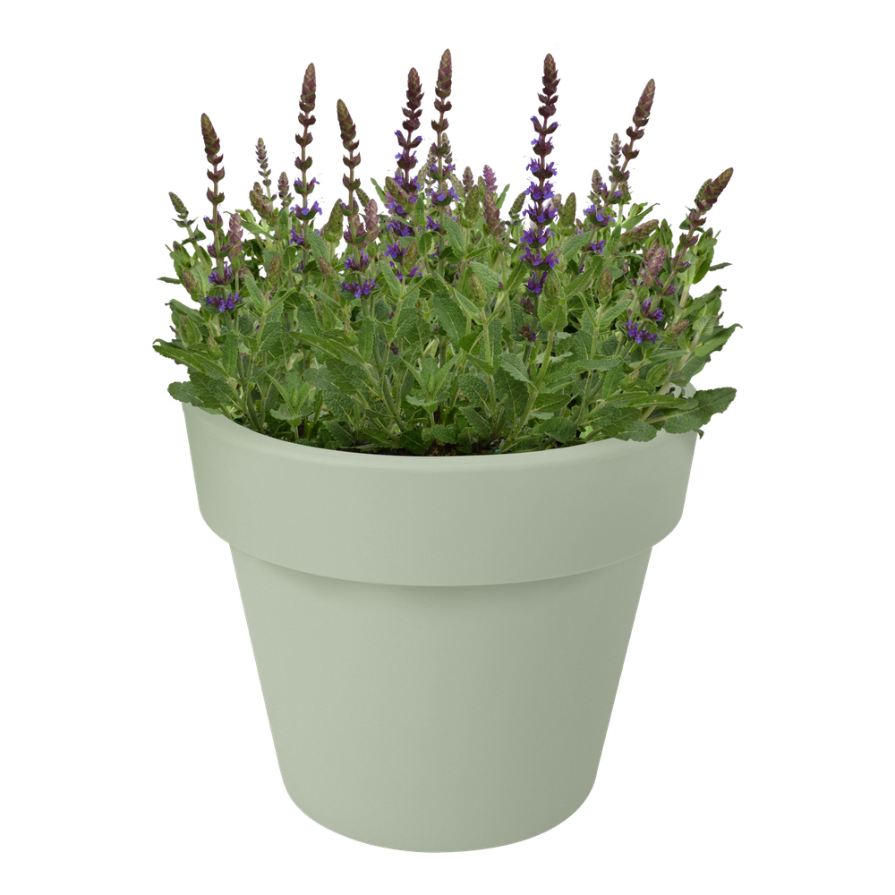Green Basics Top Planter 30