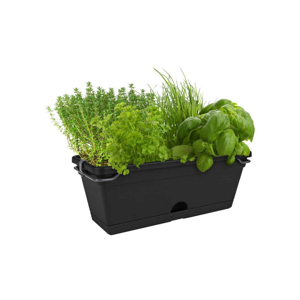 Green Basics Trough Mini Allin1 30