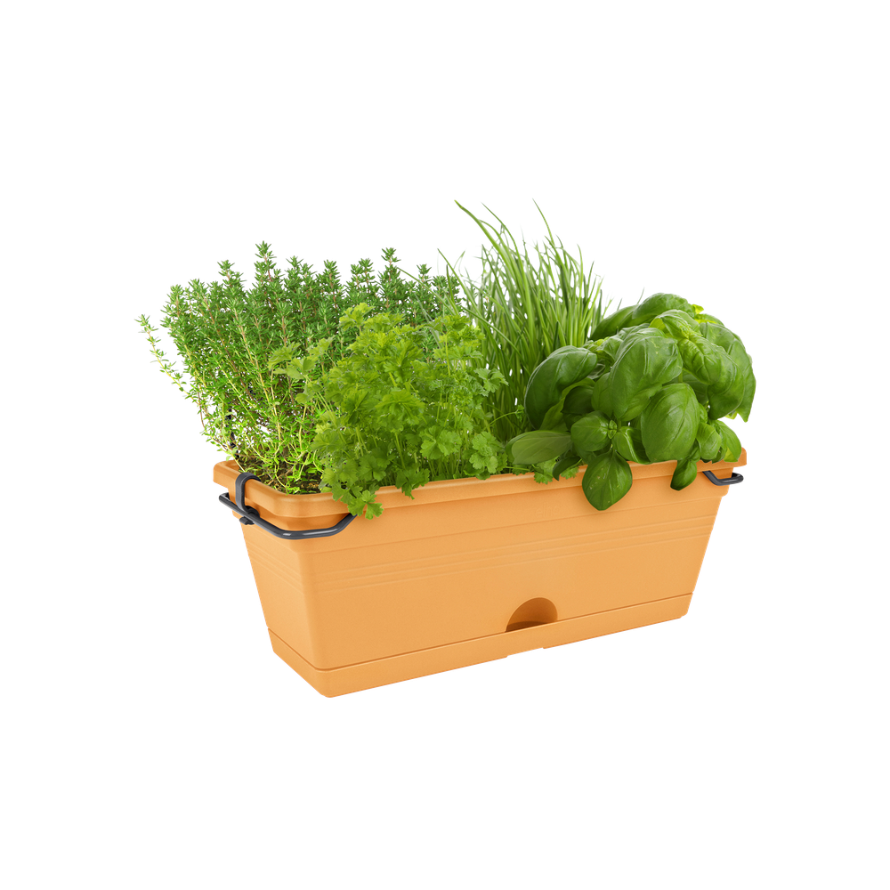 Green Basics Trough Mini Allin1 30