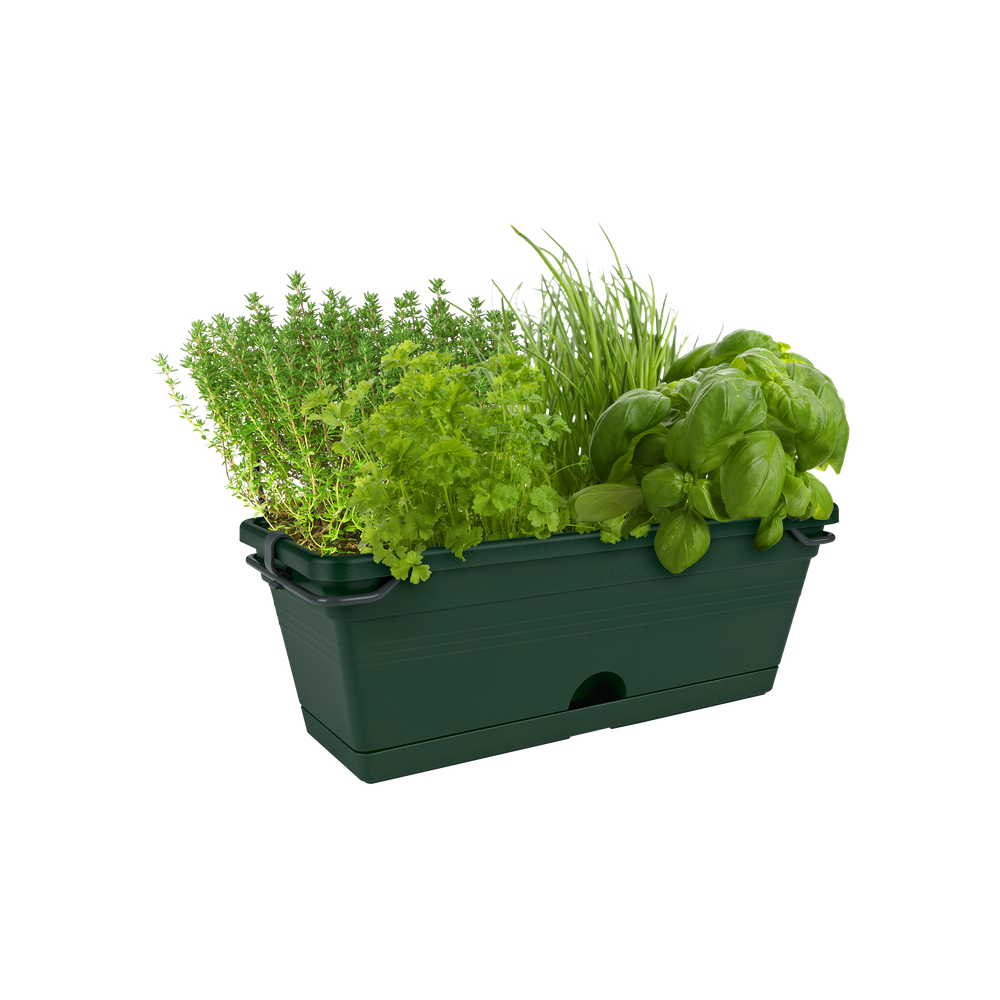 Green Basics Trough Mini Allin1 30