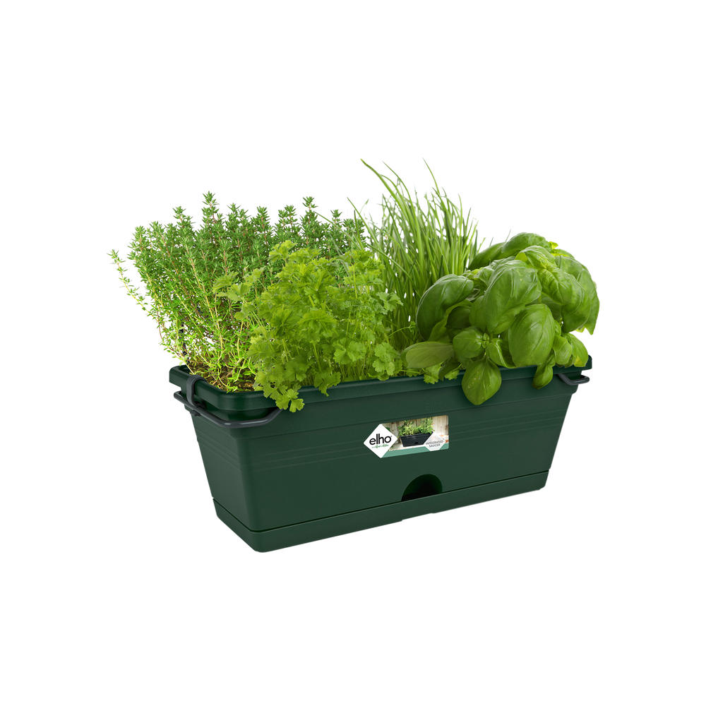 Green Basics Trough Mini Allin1 30
