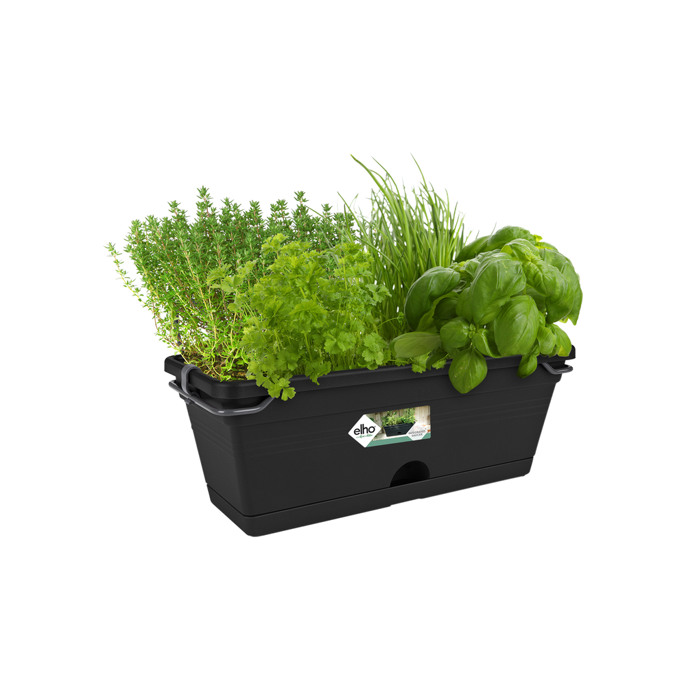 Green Basics Trough Mini Allin1 30