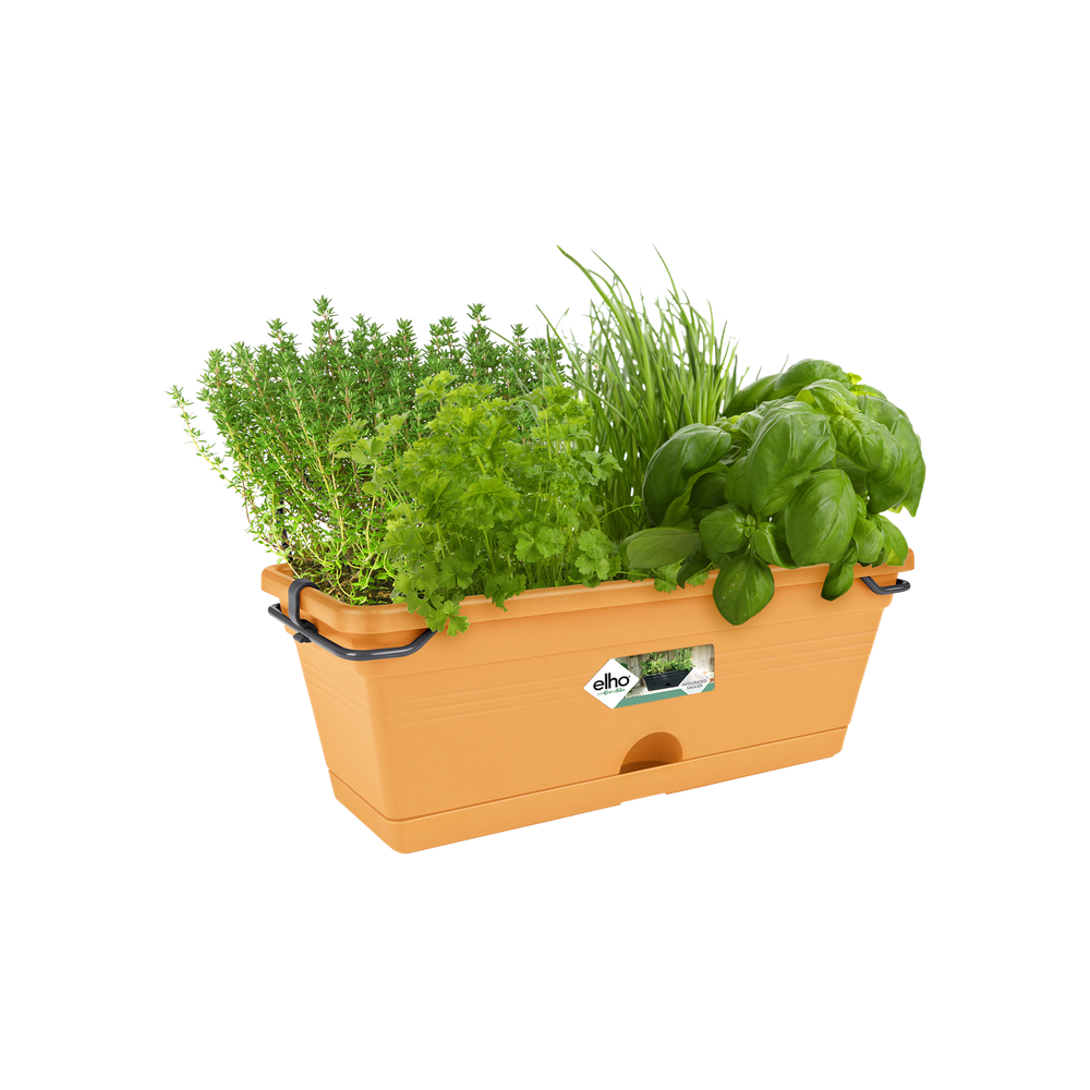 Green Basics Trough Mini Allin1 30