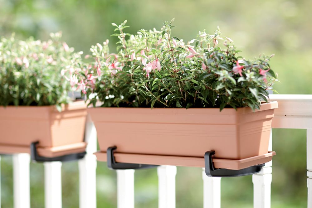 Green Basics Trough Saucer 40
