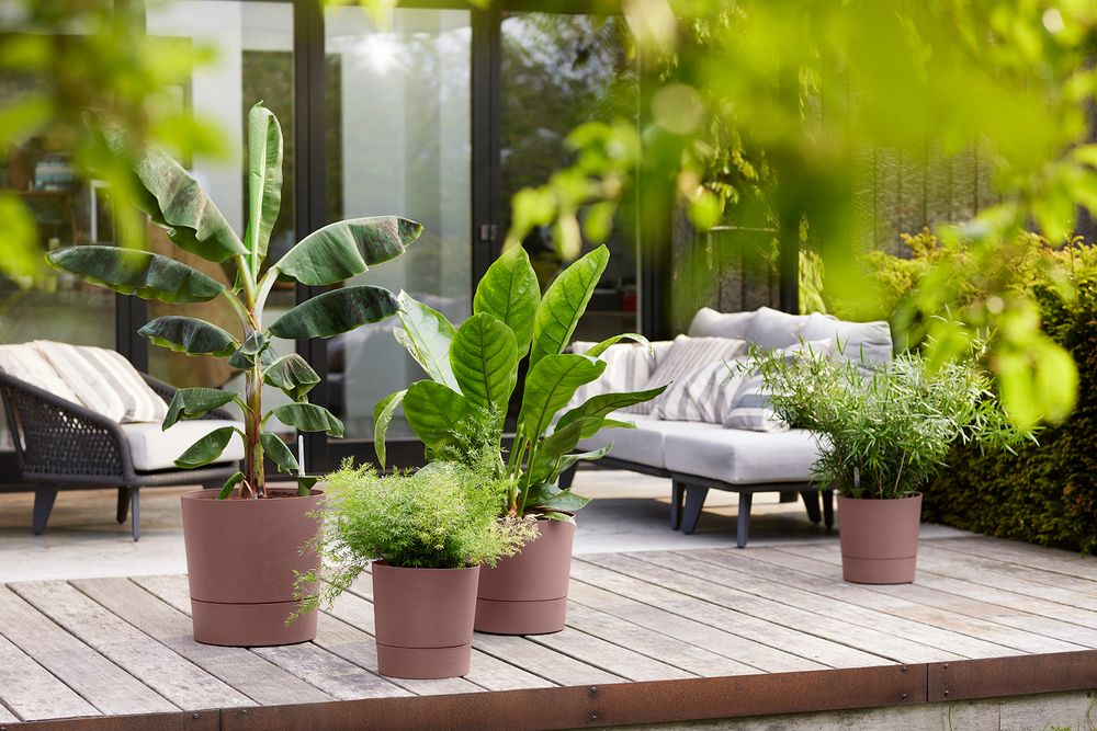 Greensense Aqua Care Round 43