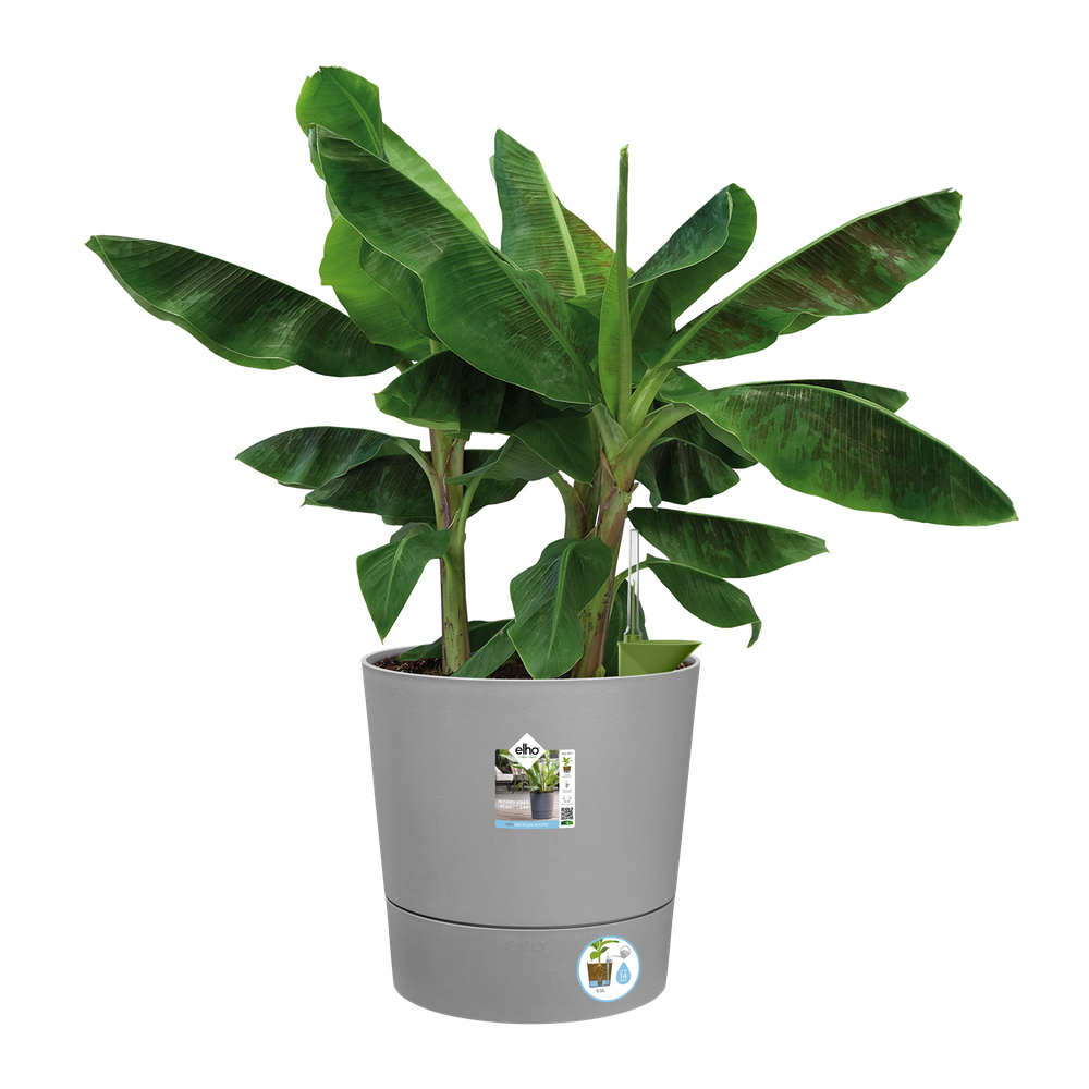 Greensense Aqua Care Round 43