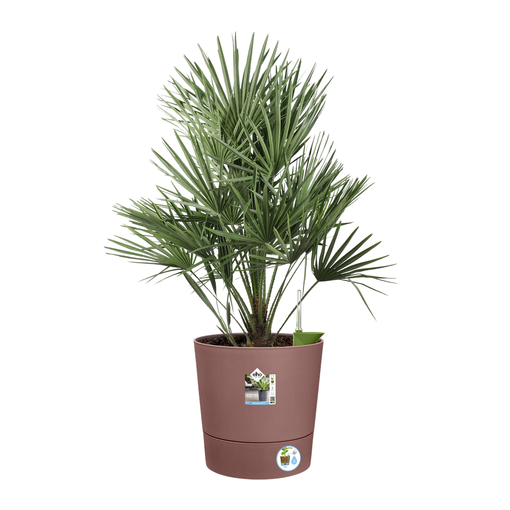 Greensense Aqua Care Round 43