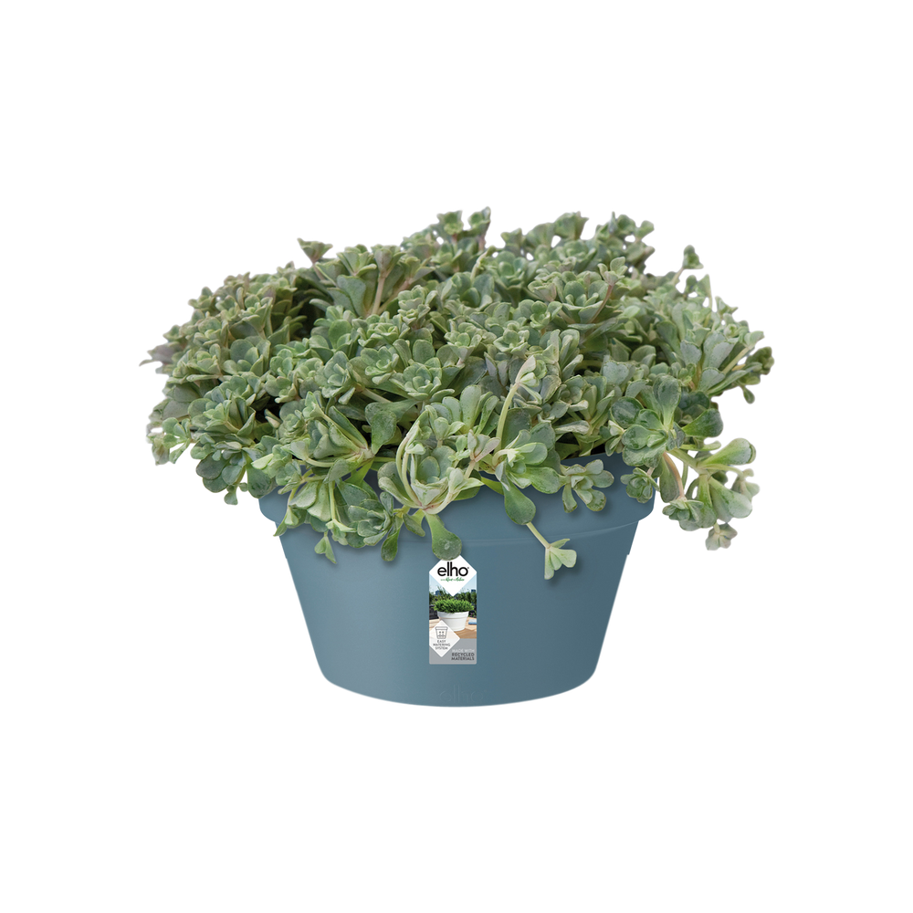 Loft Urban Bowl 35