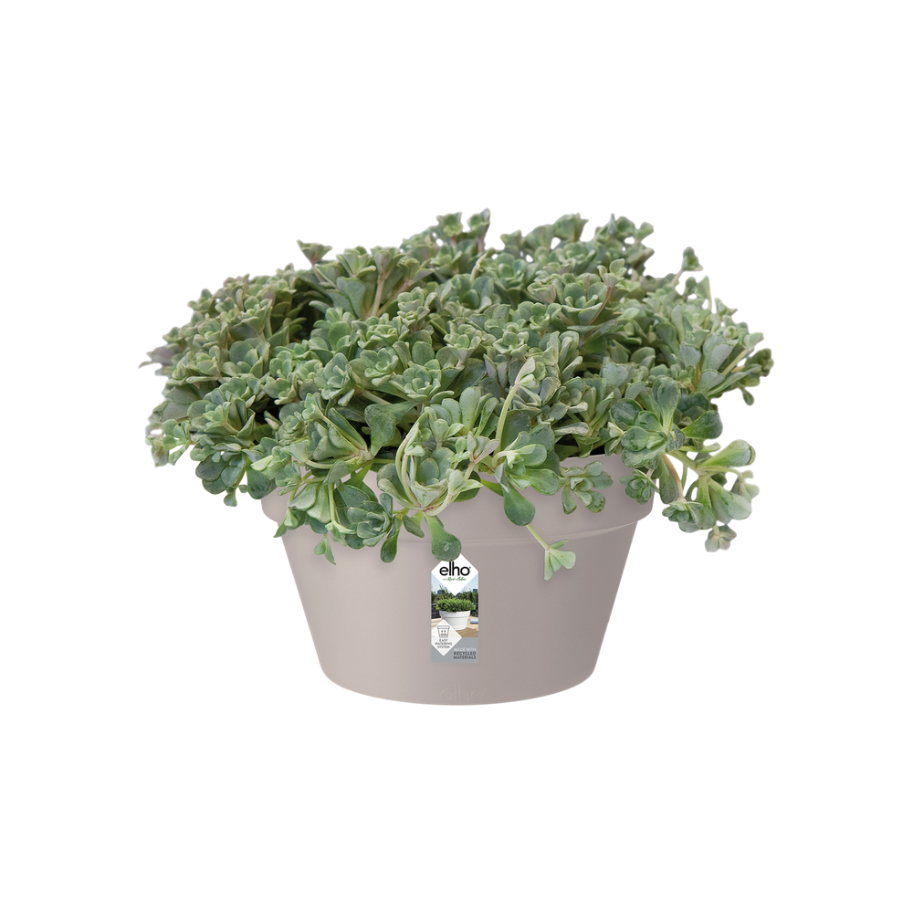 Loft Urban Bowl 35