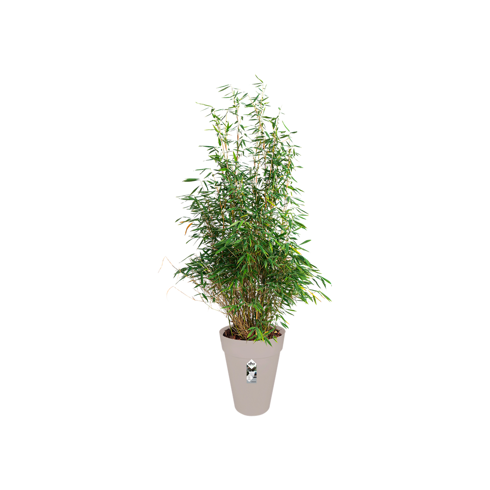 Loft Urban Round High 35