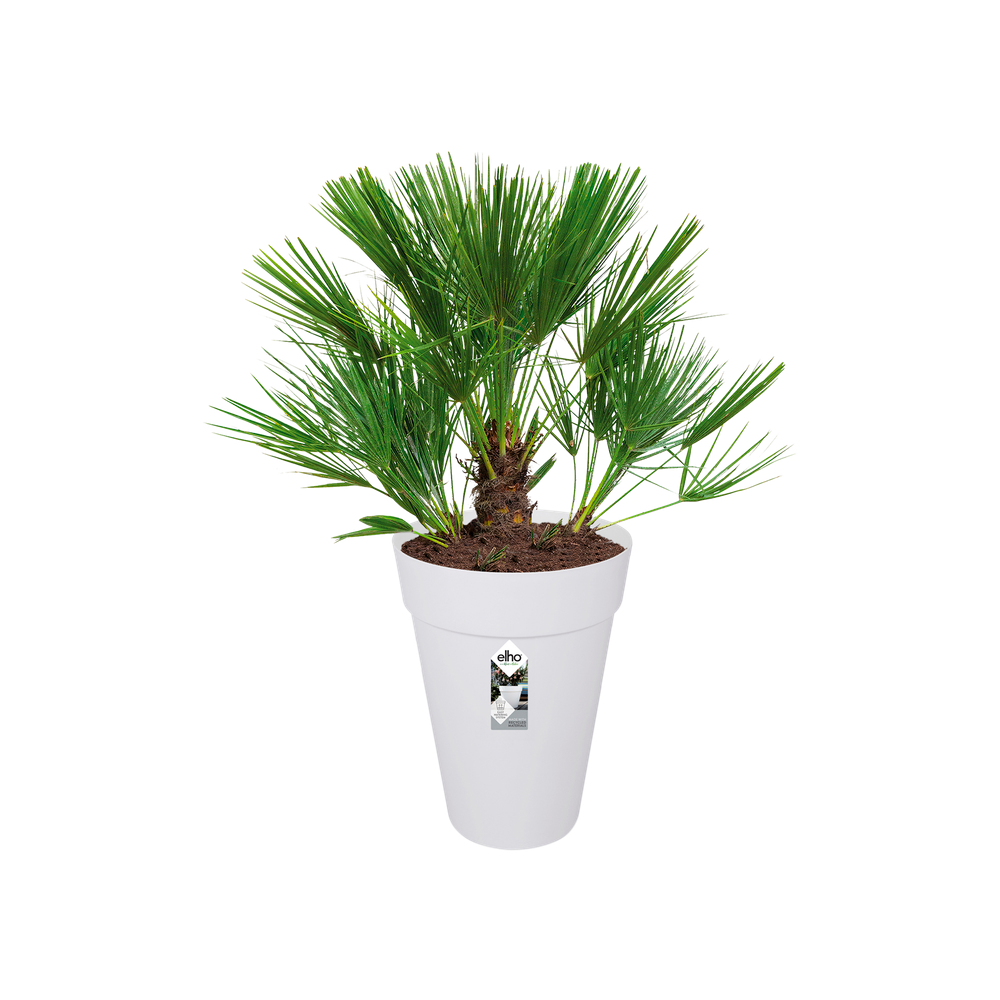 Loft Urban Round High 35