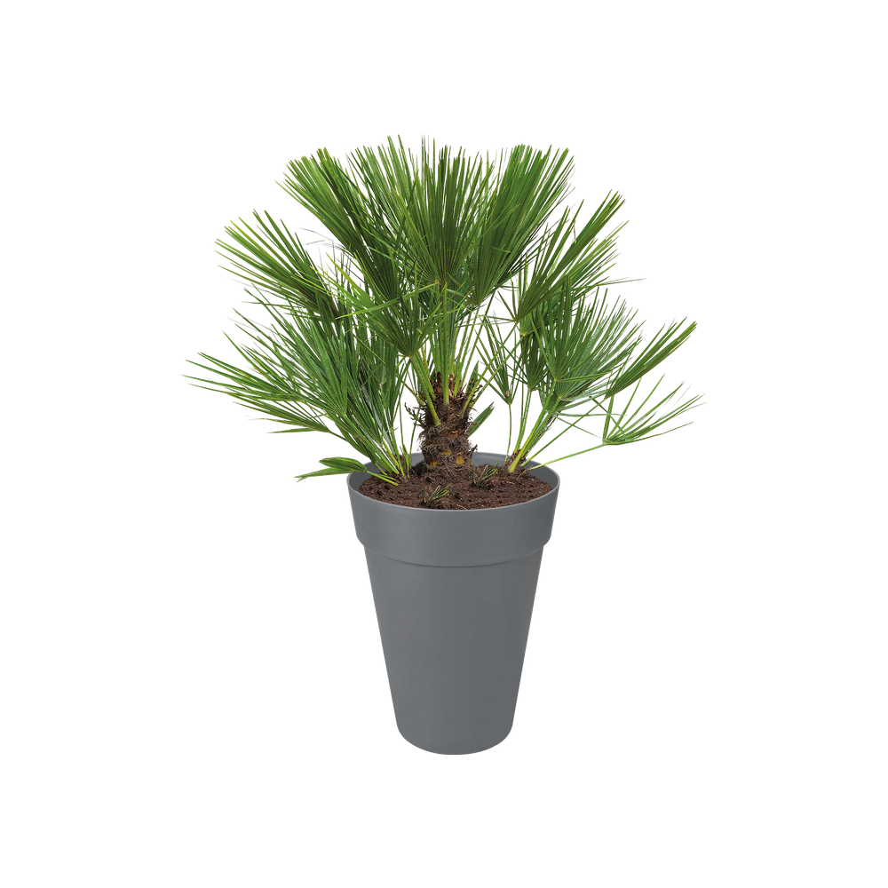 Loft Urban Round High 35