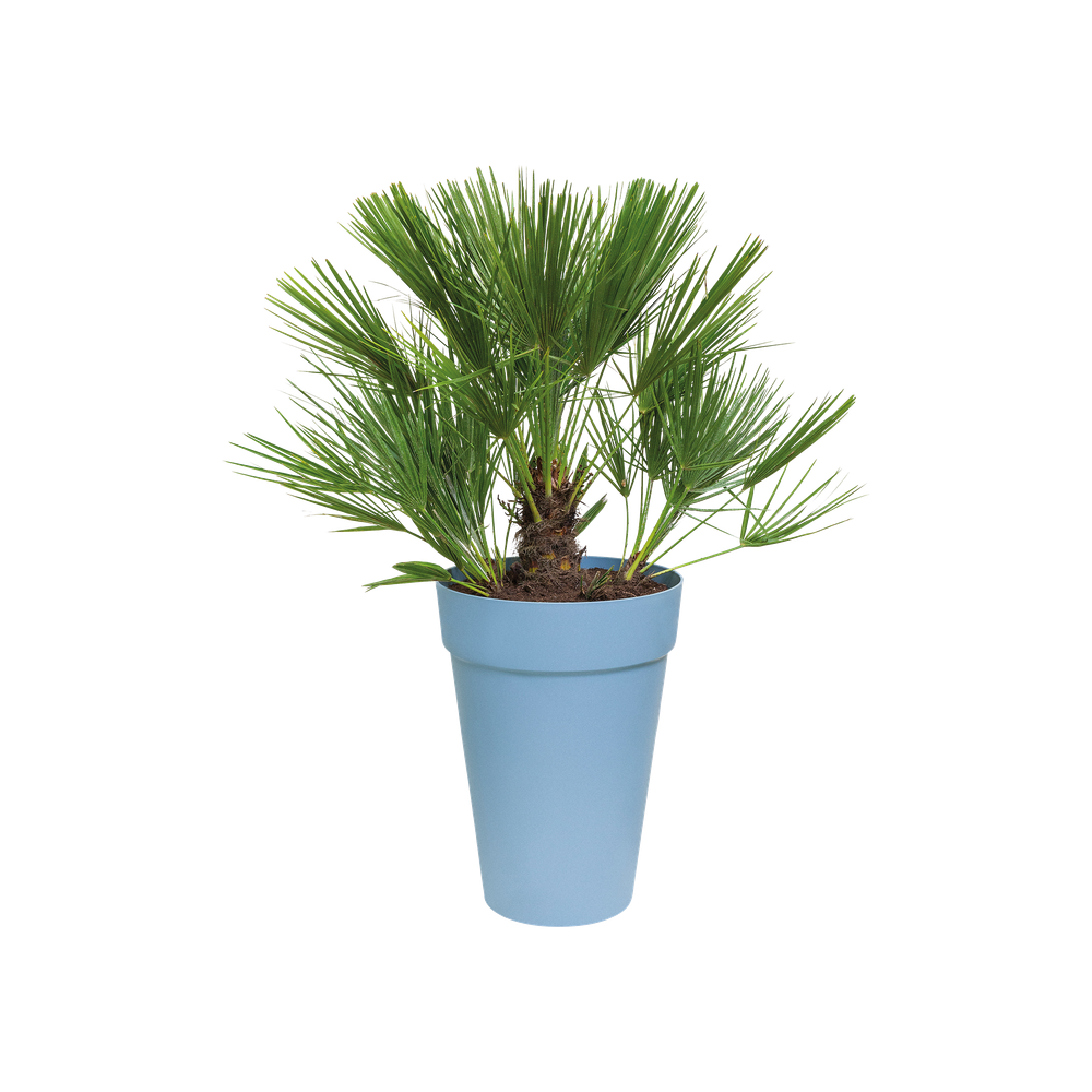Loft Urban Round High 35