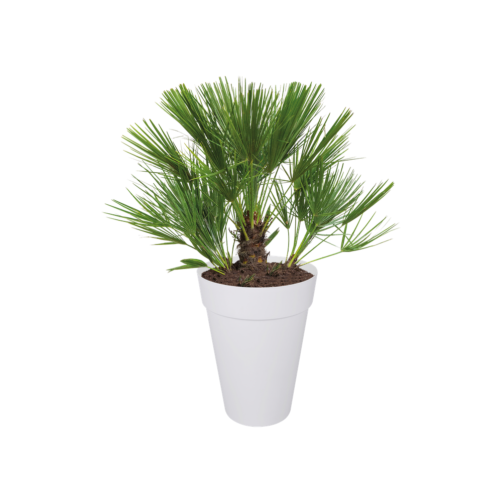 Loft Urban Round High 35