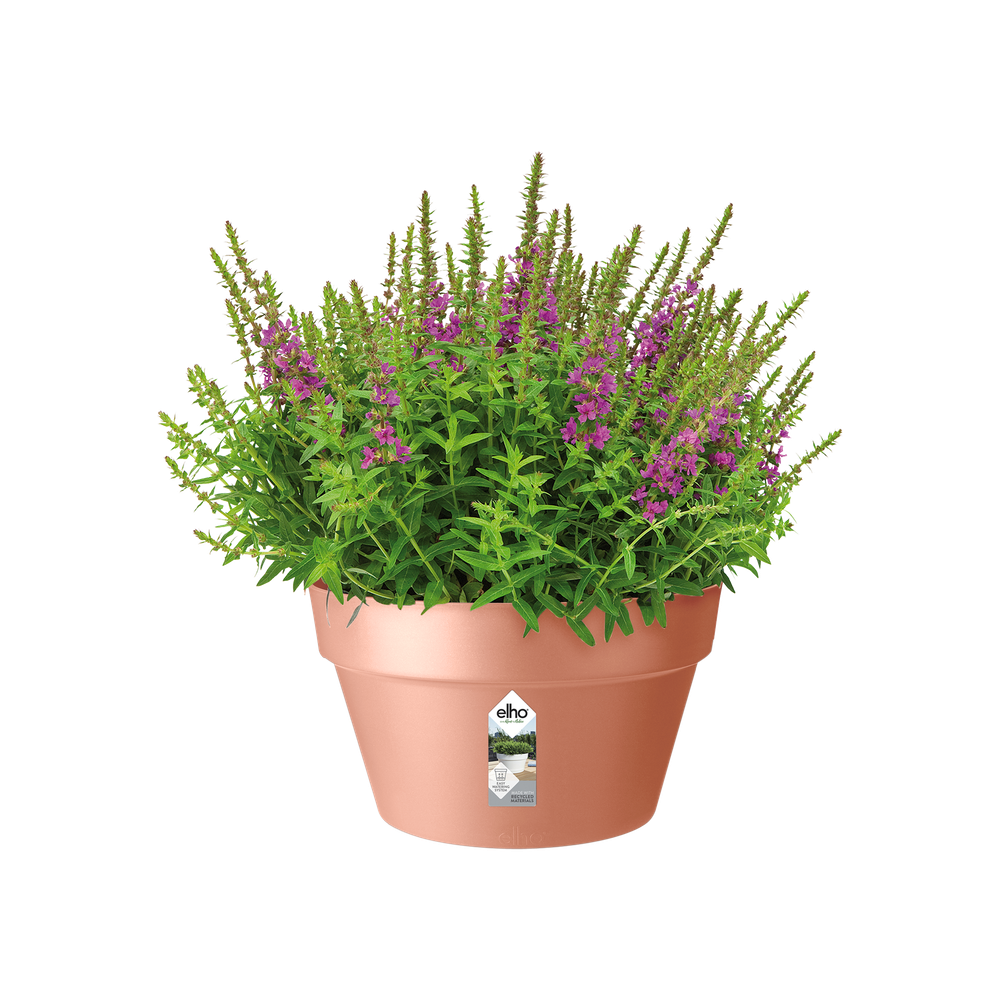 Loft Urban Bowl 35