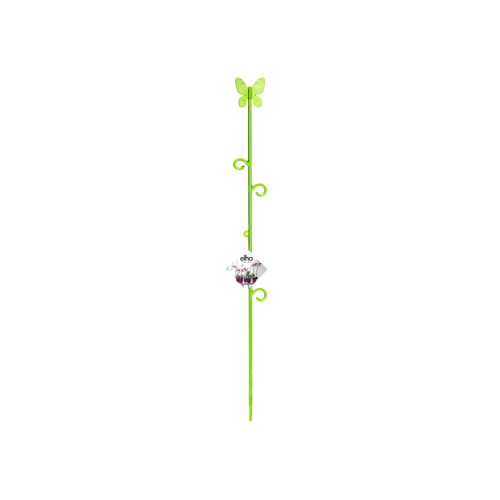 Orchideco Butterfly 53