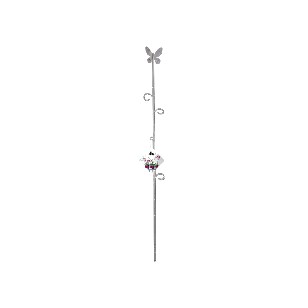 Orchideco Butterfly 53