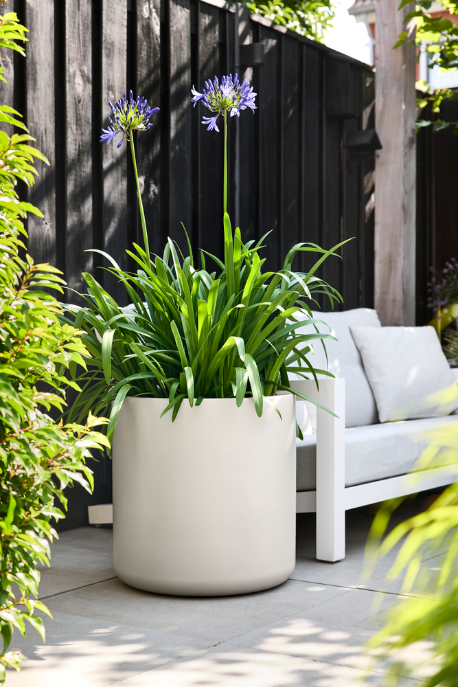 Pure Cilinder Wheels 50