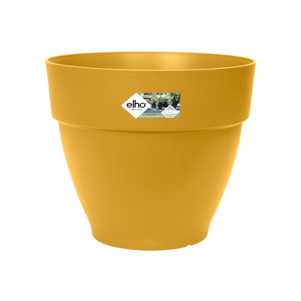 Vibiacampana Round 30