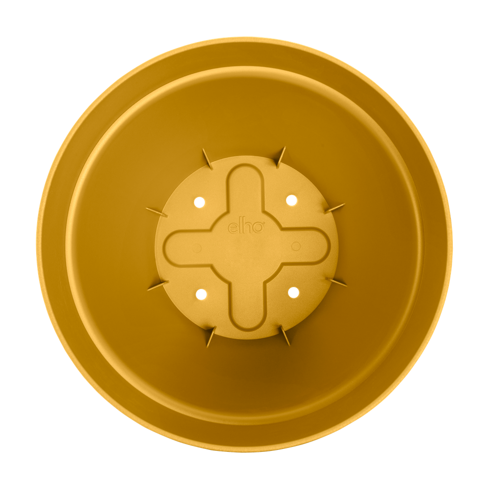 Vibiacampana Round 30
