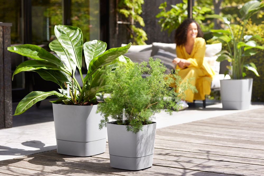 Greensense Aqua Care Square 30