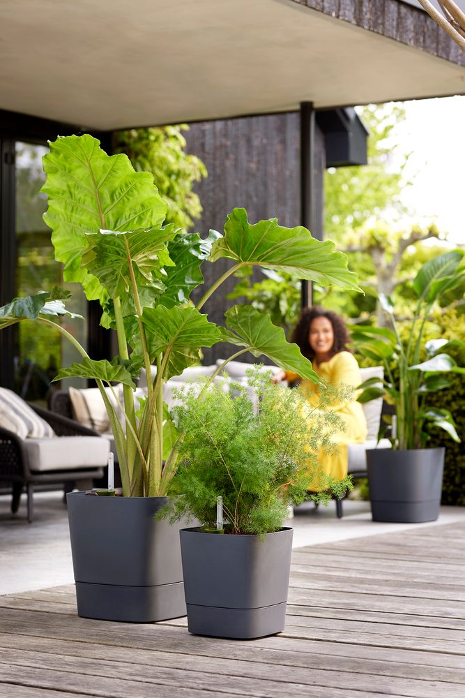 Greensense Aqua Care Square 30