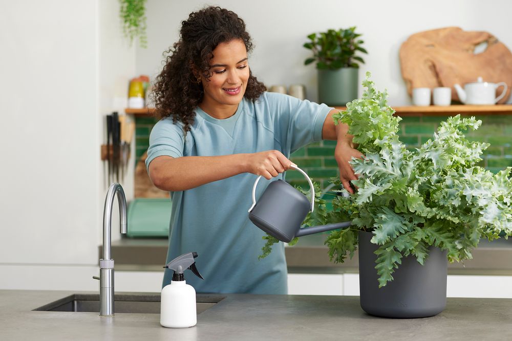 B.for Soft Watering Can 1,7ltr